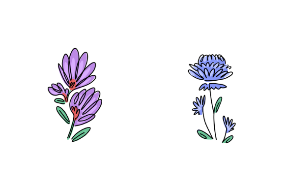 Discover the Versatility of Flower Line Art with Color